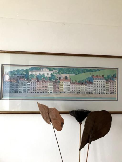 Ferienwohnung Vue Sur L'Eau Lyon Exterior foto